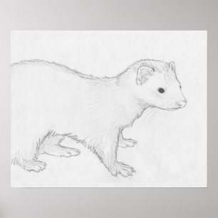 Poster de dessin de "Theo" Ferret