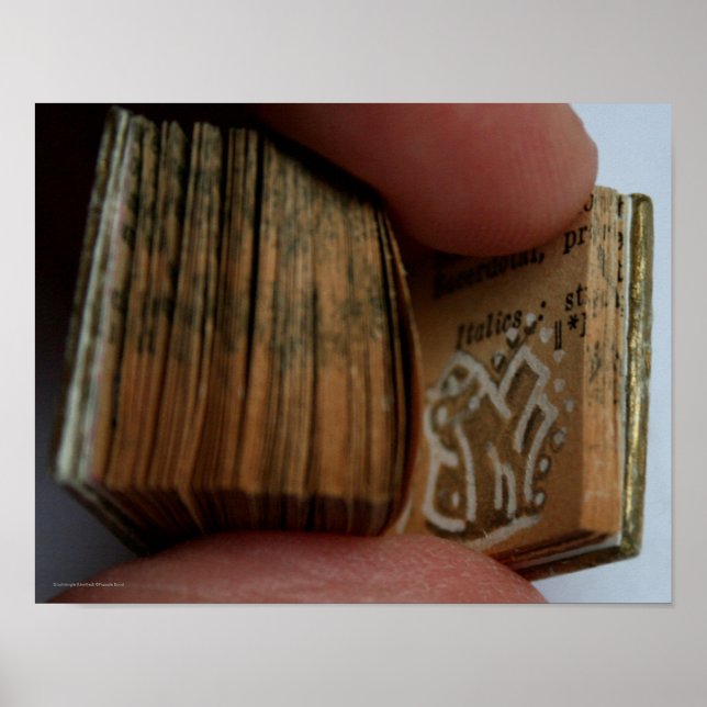 Poster de dessin du livre miniature DicofrAngle sa (Devant)