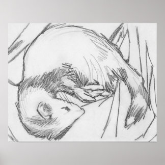 Poster de dessin "Stripe"