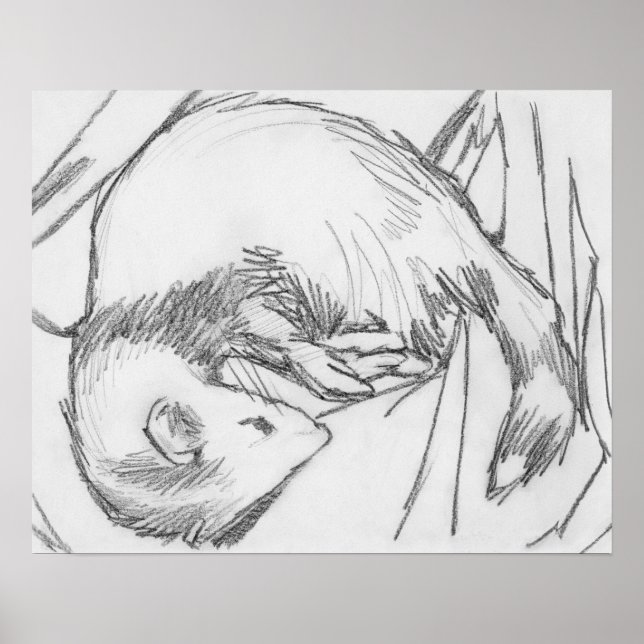 Poster de dessin "Stripe" (Devant)