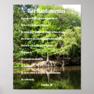 Poster de Diez Mandamientos - Ciprés en el Pantano