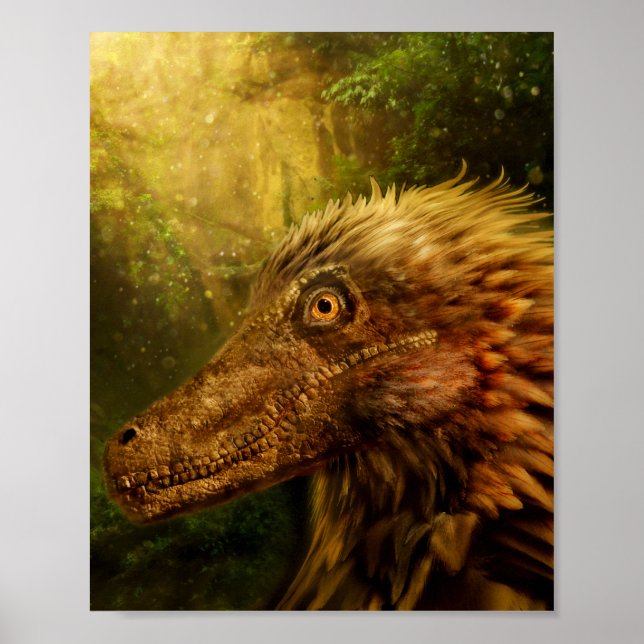 Poster de Dinosaure Velociraptor plumes (Devant)