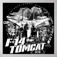 Poster de F-14 Tomcat
