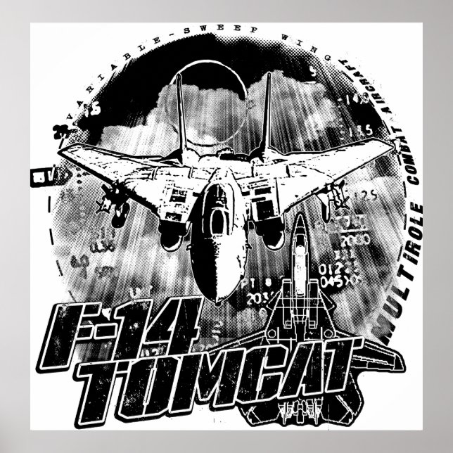 Poster de F-14 Tomcat (Devant)