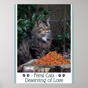 Poster de Feral Cats Deserty of Love