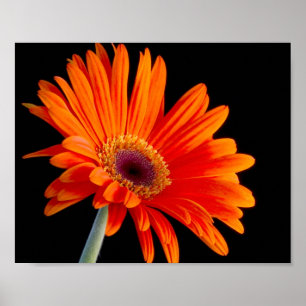 Poster de fermeture de la fleur