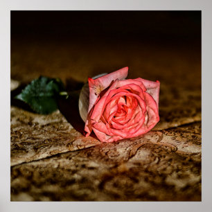 Poster de fermeture rose
