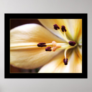 Poster de fleurs à horloge arrêtée