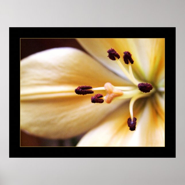 Poster de fleurs à horloge arrêtée (Devant)