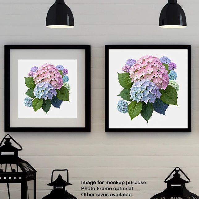 Poster de fleurs d'art mural Hydrangeas botaniques (Créateur téléchargé)