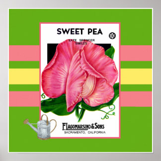 Poster de fleurs de pois doux