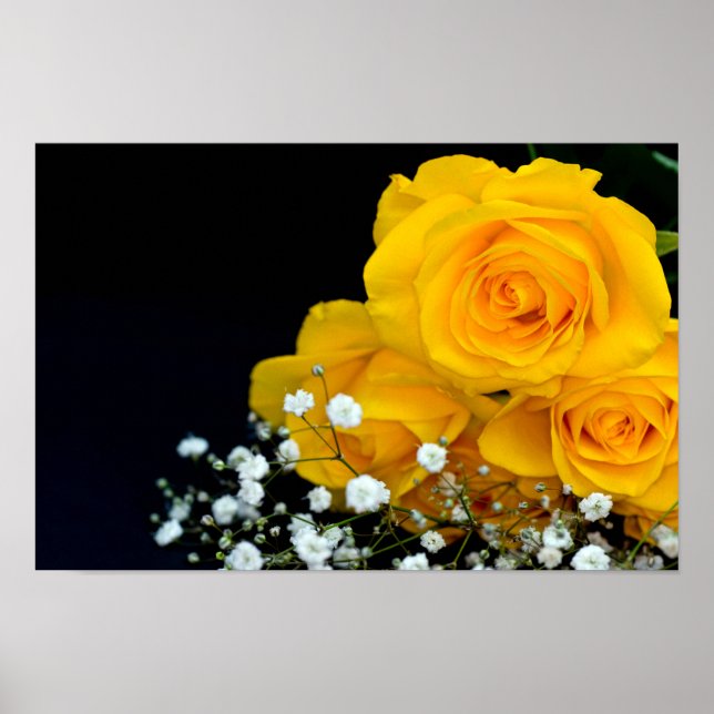 Poster de fleurs de roses jaunes (Devant)