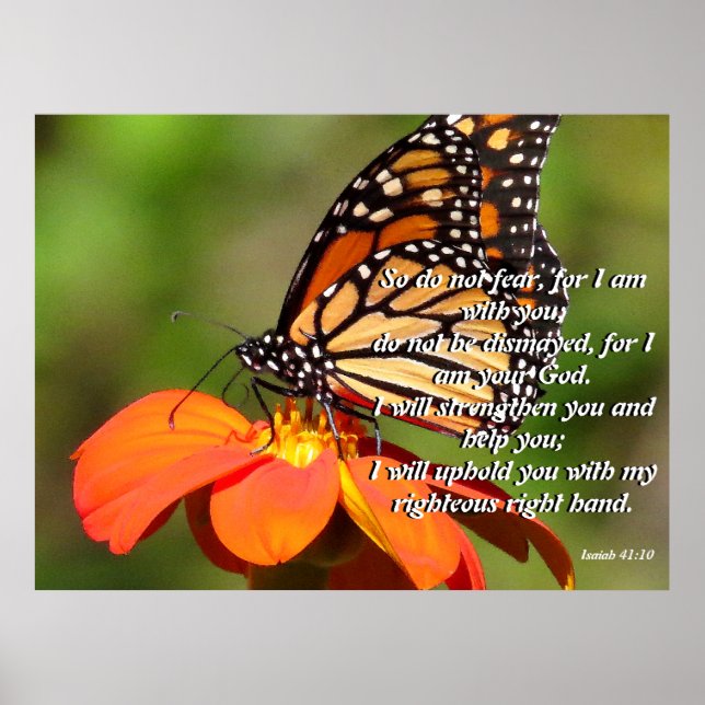 Poster de fleurs de tournesol Monarch Butterfly (Devant)