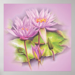 Poster de fleurs mauve de nénuphar