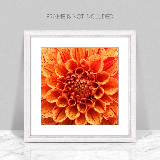 Poster de fleurs orange de gros plan (Créateur téléchargé)