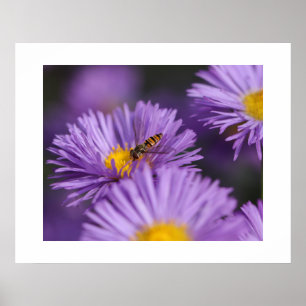 Poster de fleurs violettes