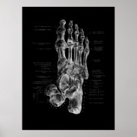 Poster de Foot Bones Anatomy Podiatrist