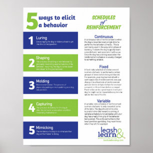 Poster de formation des chiens