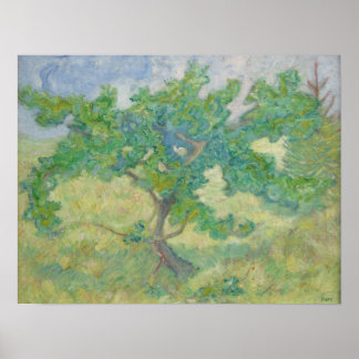 Poster de Franz Marc Oak tree