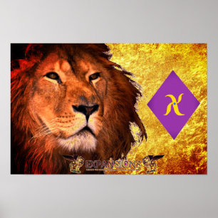 Poster de fréquence de lion