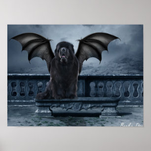 Poster de Gargoyle de Terre-Neuve