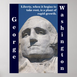 Poster de George Washington Liberty