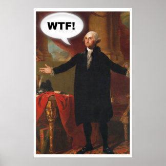 Poster de George Washington WTF (sans légende)