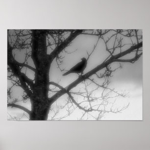 Poster de Ghost Raven