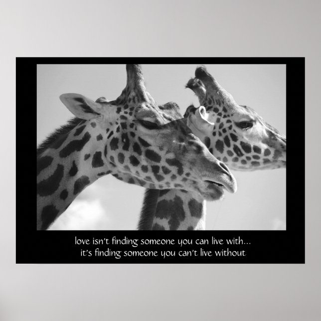 Poster de Giraffes sucrées, avec une citation sur  (Devant)