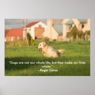 Poster de Golden Retriever avec citation