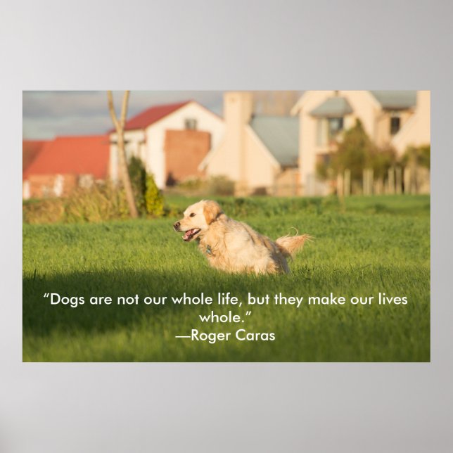 Poster de Golden Retriever avec citation (Devant)