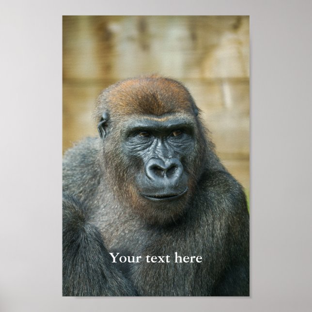 Poster de Gorilla Lope (Devant)