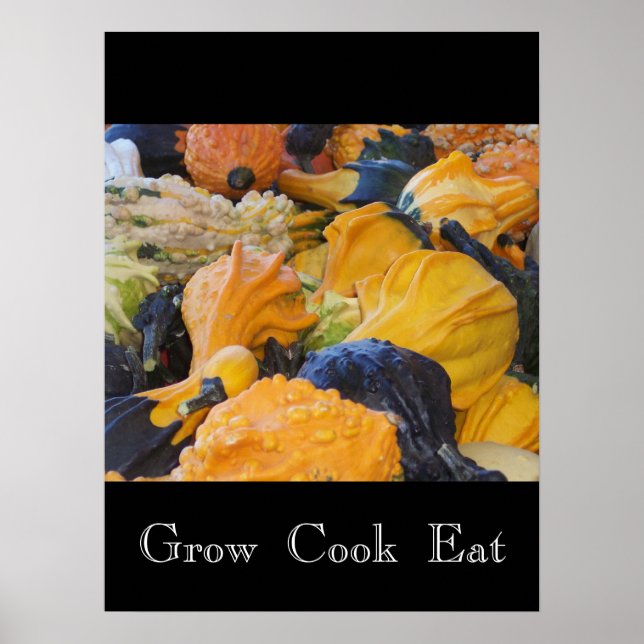 Poster De Gourds Cuisinier De Gourds (Devant)