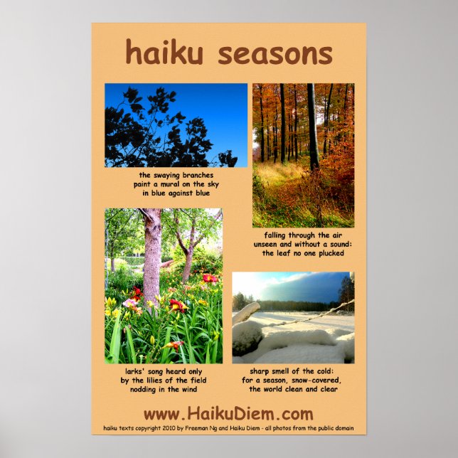 Poster de Haiku Seasons (arrière - plan de pêche) (Devant)