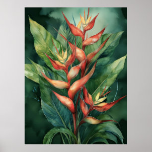 Poster de Hamakua Heliconia