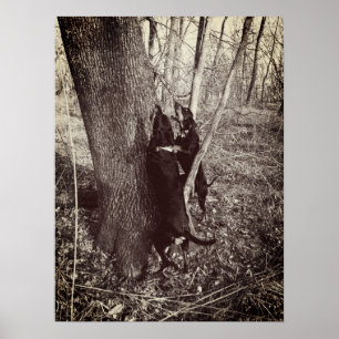 Poster de Hounds noir et tan