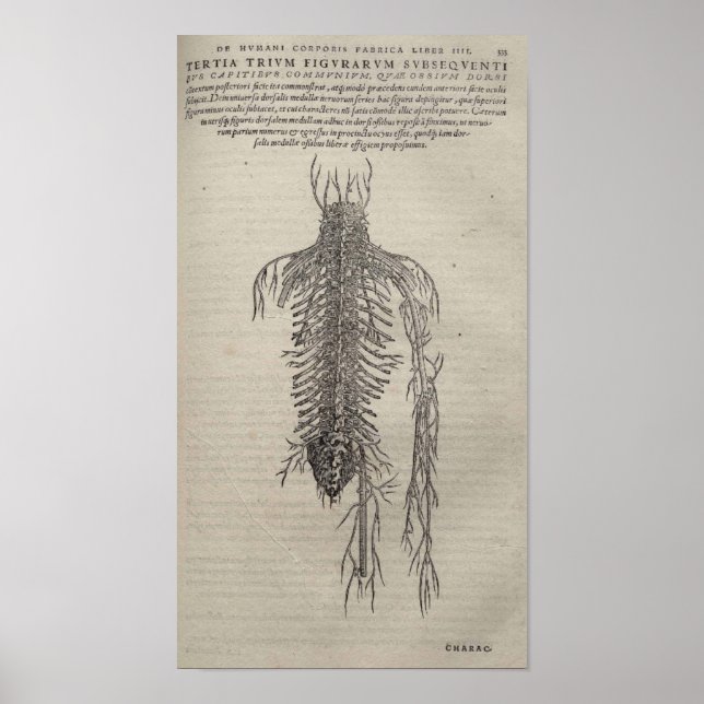 Poster De Humani Corporis (Devant)