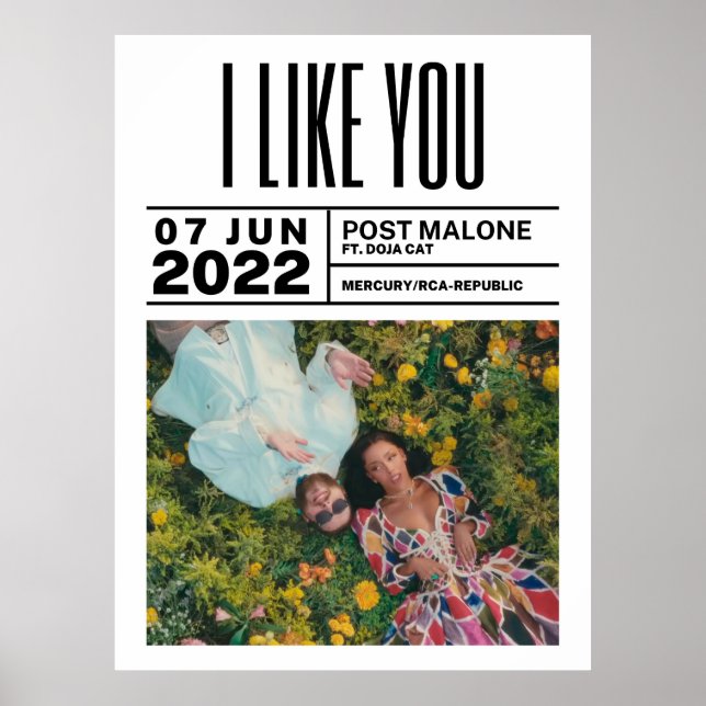 Poster de I Like You - PostMalone (Devant)