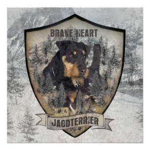 Poster de Jagdterrier, German Hunter Terrier