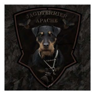Poster de Jagdterrier, German Hunter Terrier