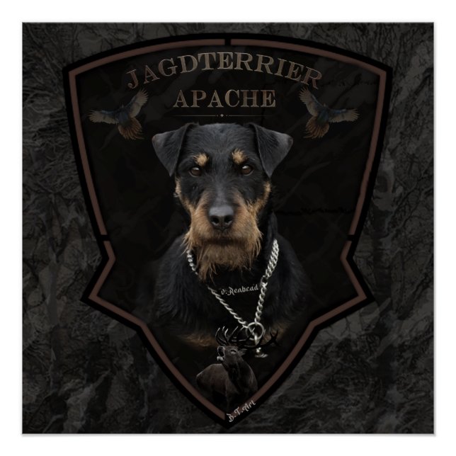 Poster de Jagdterrier, German Hunter Terrier (Devant)