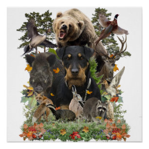 Poster de Jagdterrier, German Hunter Terrier