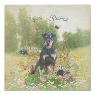 Poster de Jagdterrier, German Hunter Terrier