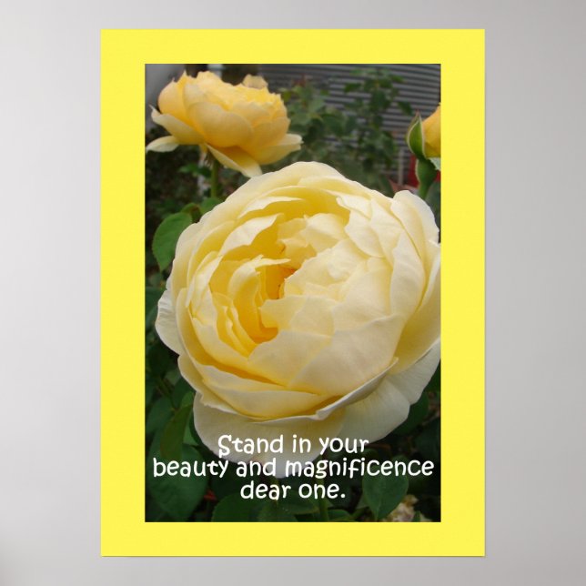 Poster de jardin naturel des Roses de rose jaune (Devant)