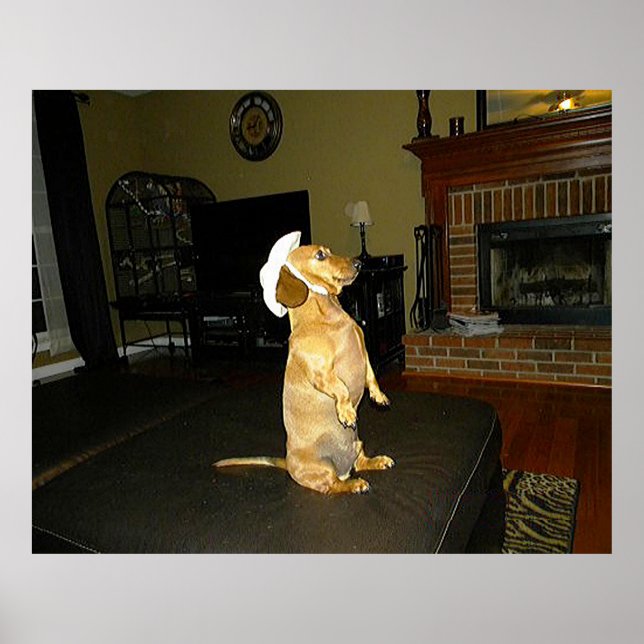 Poster de Joli Dachshund (Devant)