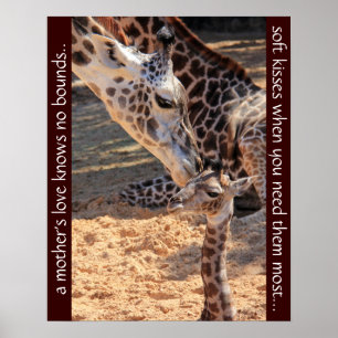 Poster De jolies girafes ; l'amour d'une mère ne connaît