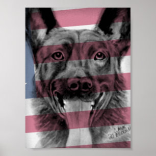 Poster de K9 Dutch Shepherd oeuvre originale