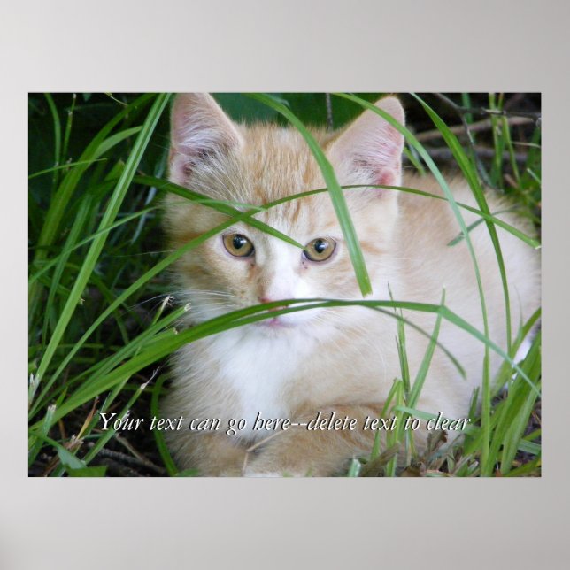 Poster de Kitten jaune en haute herbe (Devant)