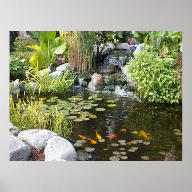 Poster de Koi Pond avec cascade (Devant)