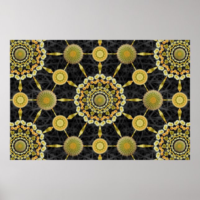 Poster de la baie de cactus en baril 1 (Devant)